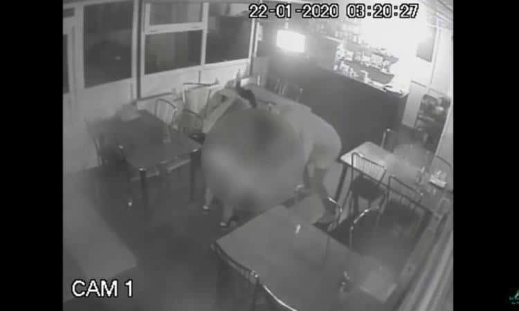 VIDEO. Jaf și tâlhărie într-un bar 